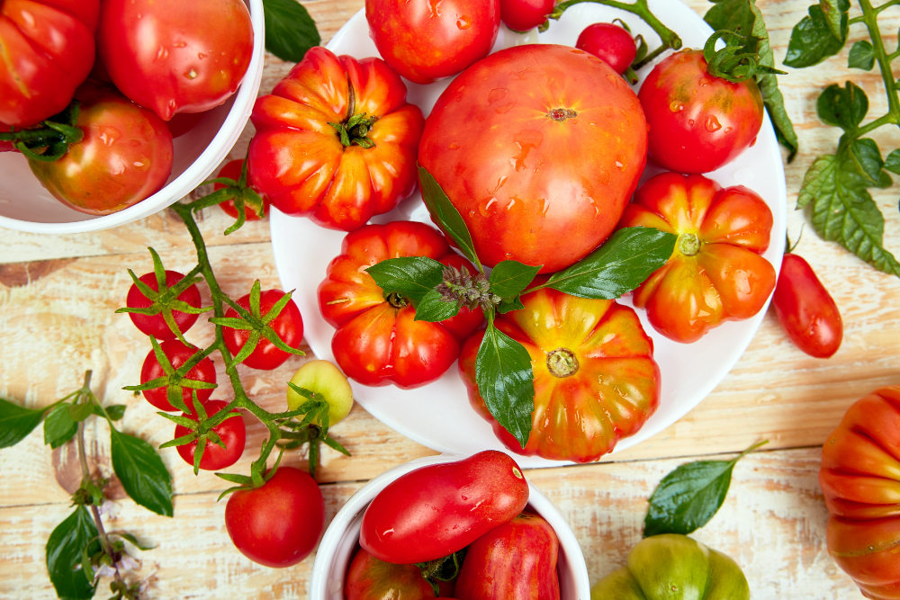 Best Tomato Varieties for home garden