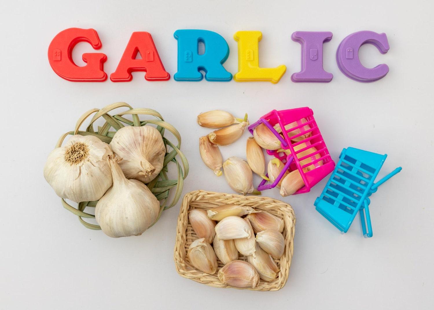 Garlic Seeds Varieties