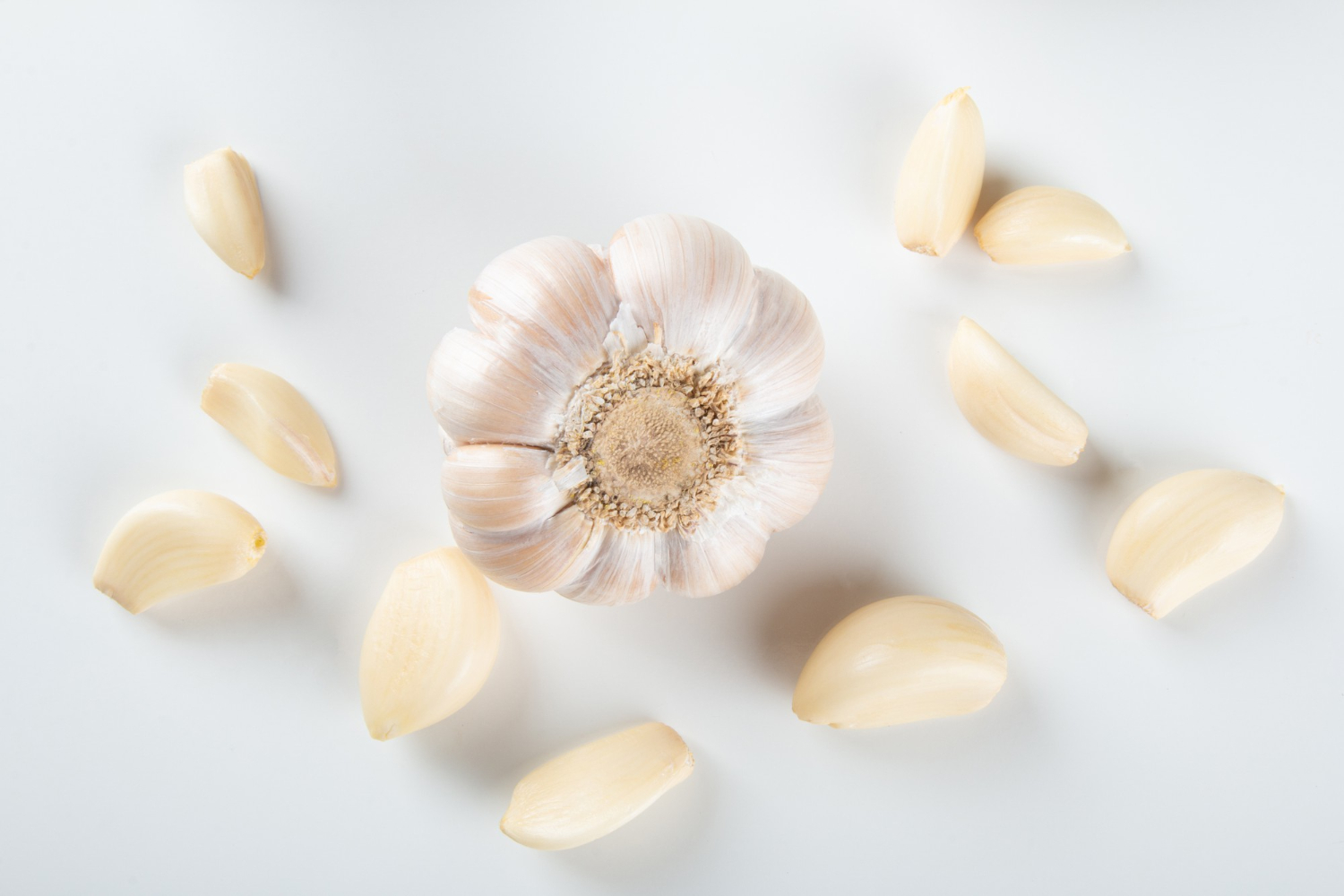 Garlic Fertilizer Needs: A Comprehensive Guide