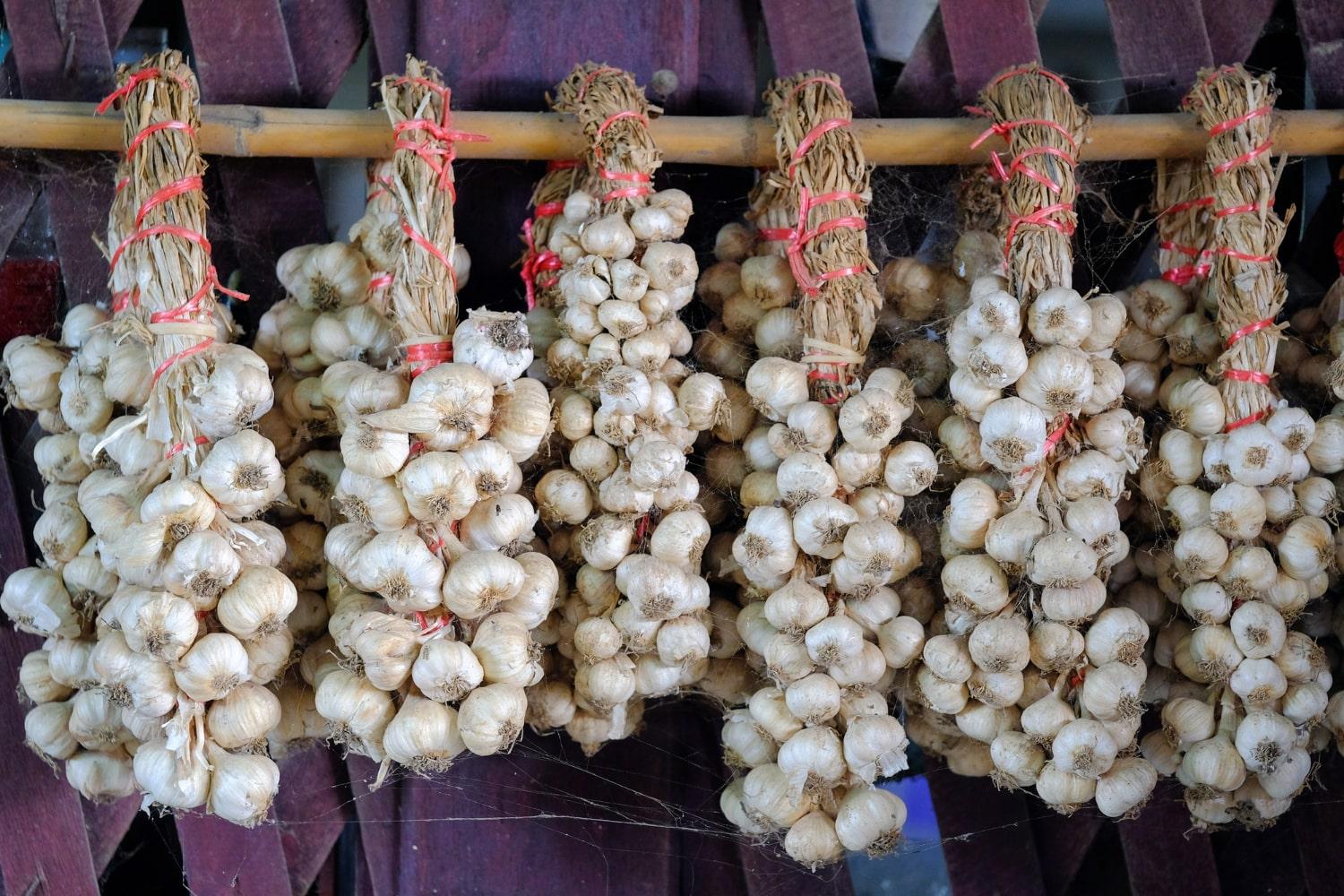 How to Store Garlic: Best Ways and Fixes